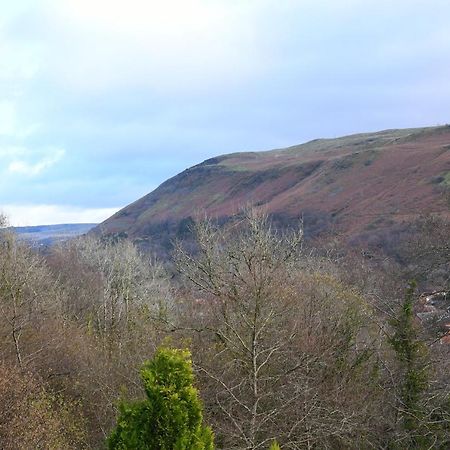 Cilbrwyn Bed & Breakfast Swansea Eksteriør bilde